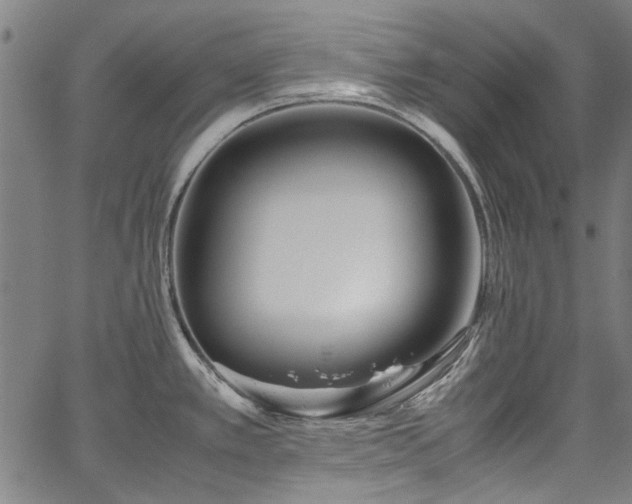 X0000067361389200604030948