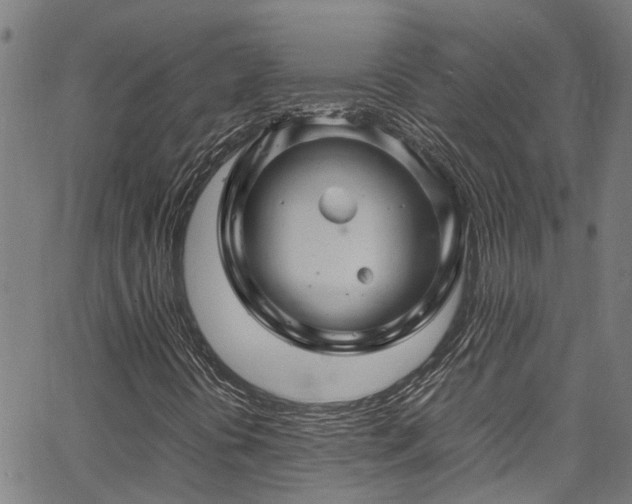 X0000067361394200604030947