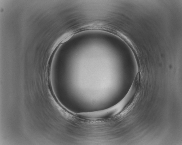 X0000067361434200604030948