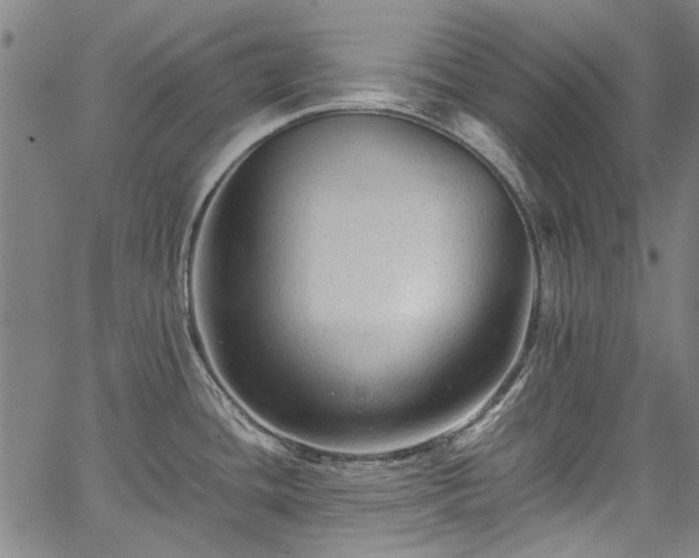X0000067361436200604030948