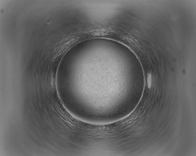 X0000067361444200604030947