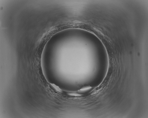 X0000067361447200604030947