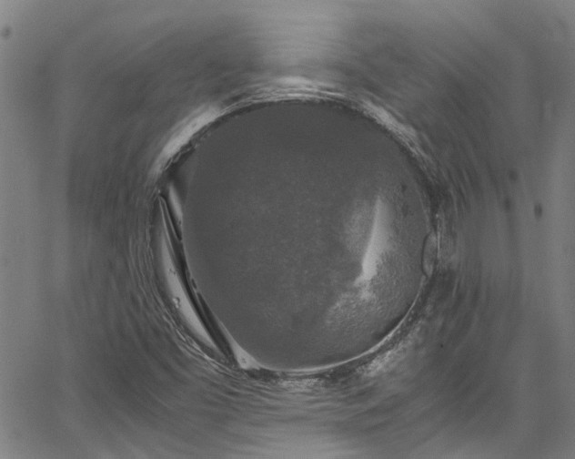 X0000067361453200604030947