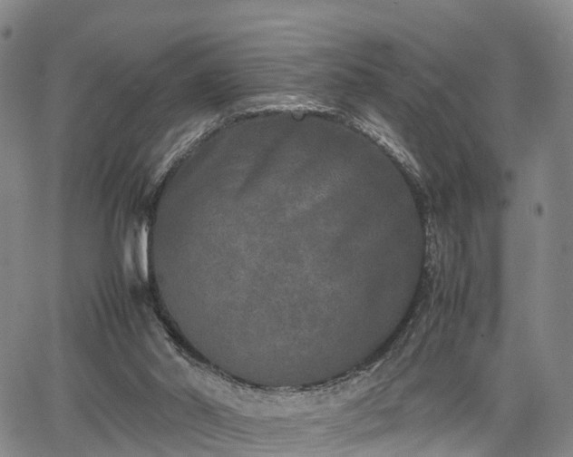 X0000067360014200604071427