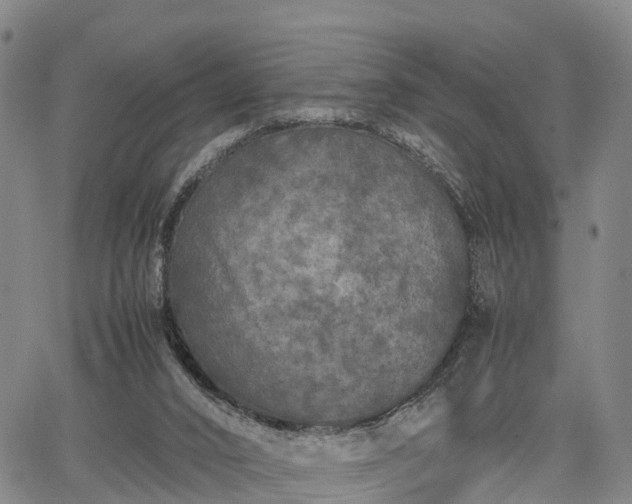 X0000067360016200604071427