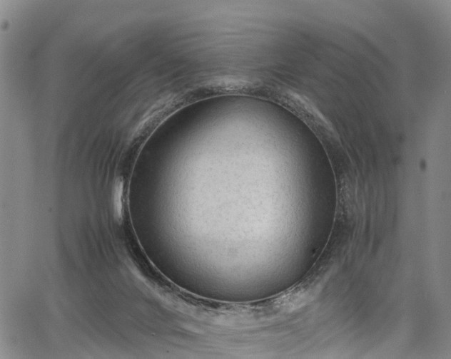 X0000067360024200604071427
