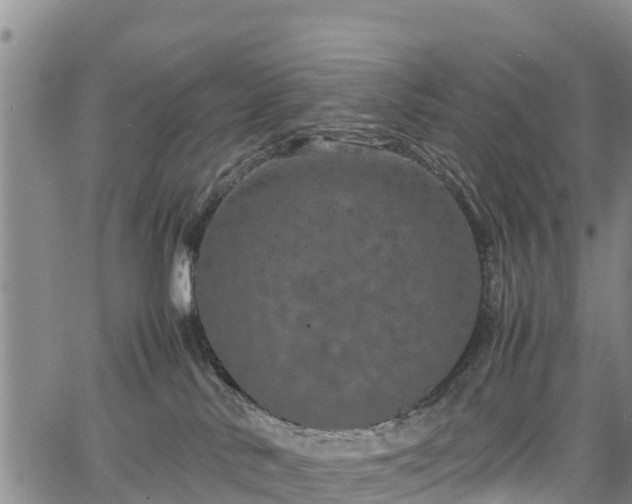 X0000067360042200604071427