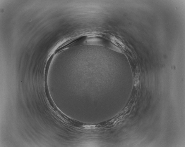 X0000067360052200604071426