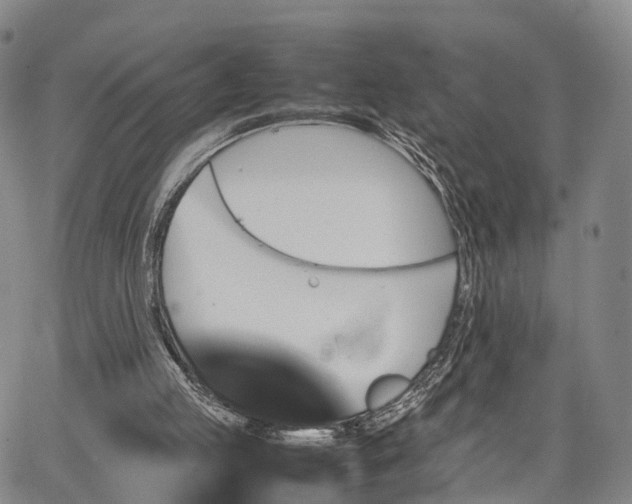 X0000067360053200604071426