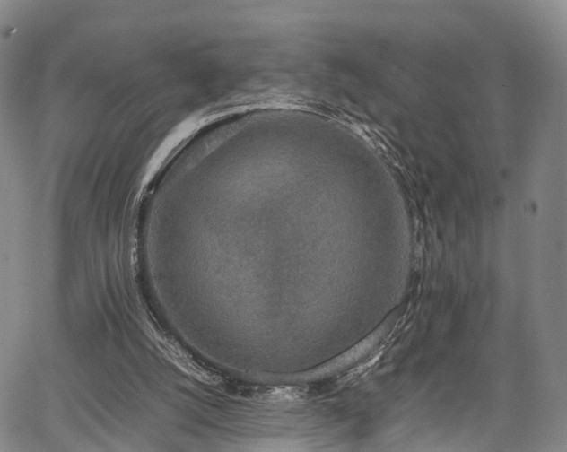 X0000067360056200604071426