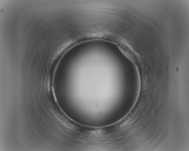 X0000067360068200604071426
