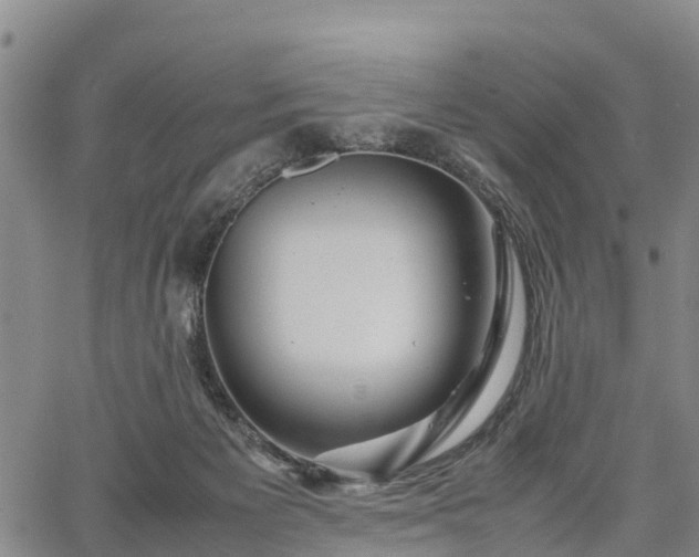X0000067360125200604071425