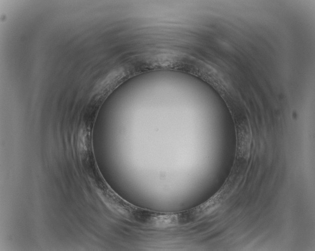 X0000067360126200604071425