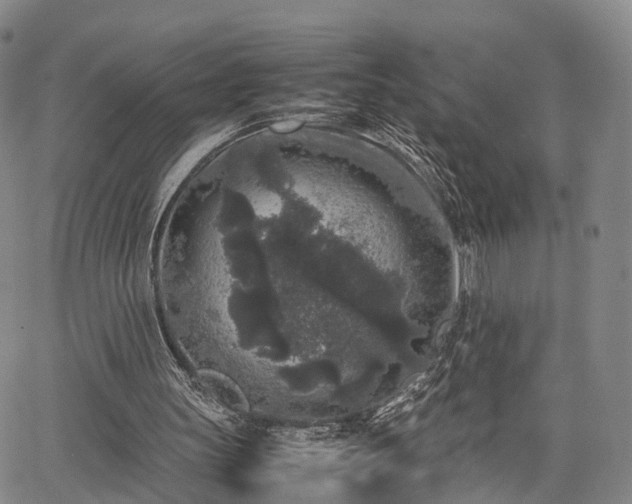 X0000067360147200604071424