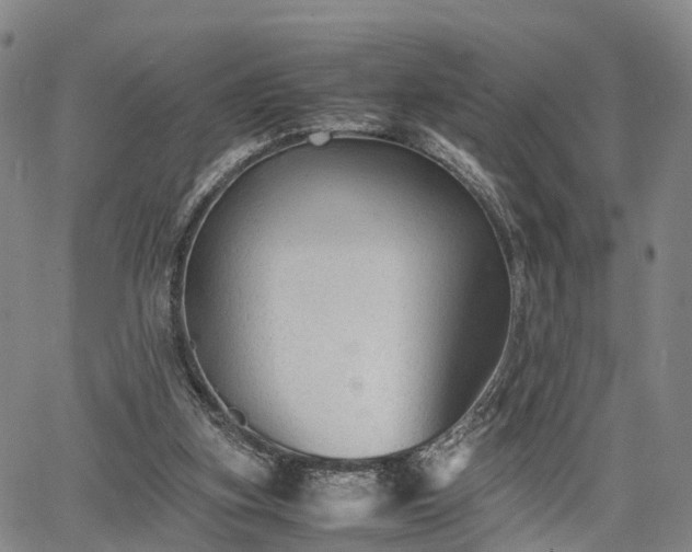 X0000067360155200604071424