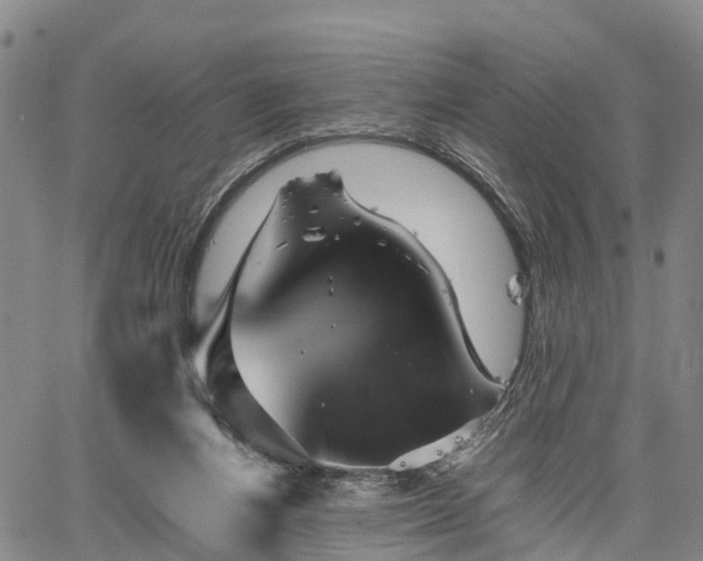 X0000067360164200604071424