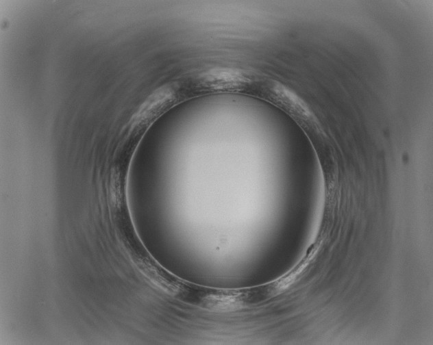 X0000067360170200604071425