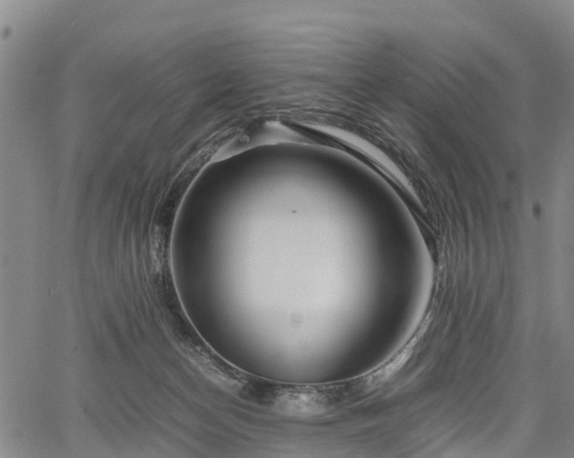 X0000067360174200604071425