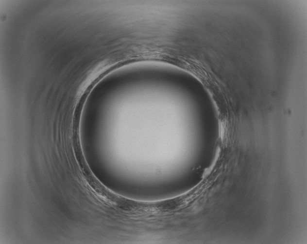X0000067360195200604071424