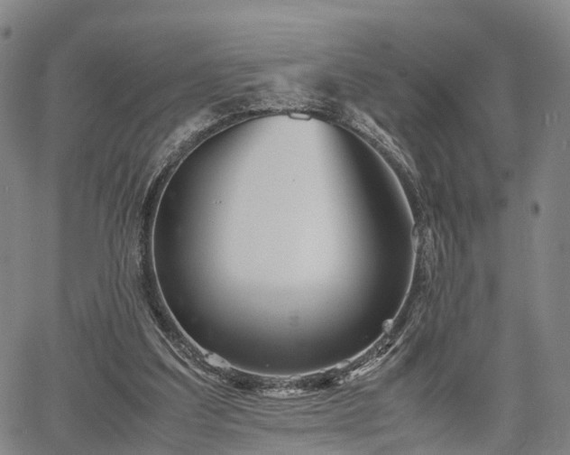 X0000067360203200604071424