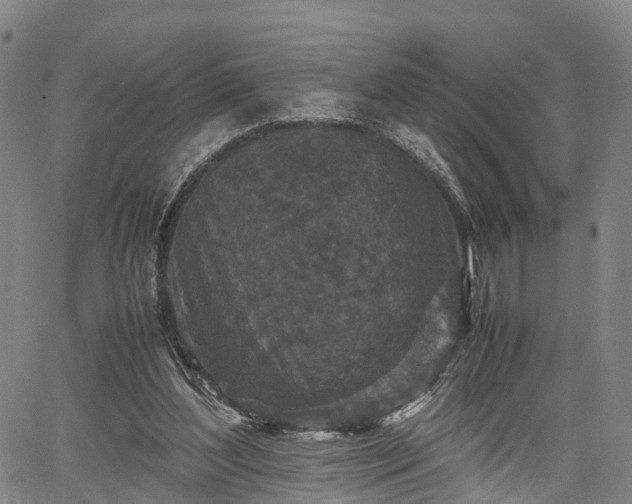X0000067360204200604071424