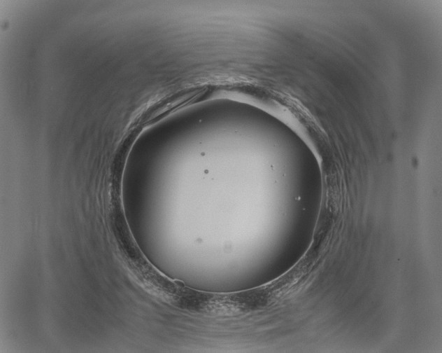 X0000067360207200604071424