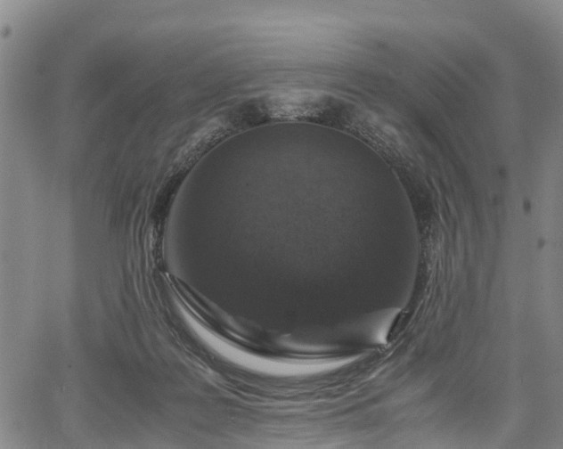 X0000067360219200604071424