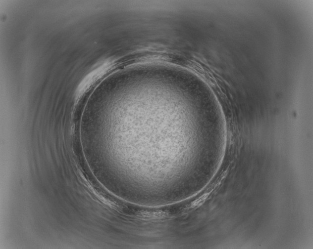 X0000067360245200604071423