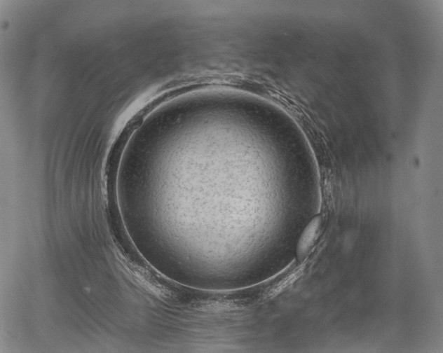X0000067360246200604071423