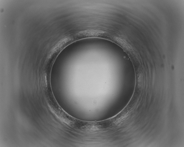 X0000067360254200604071423