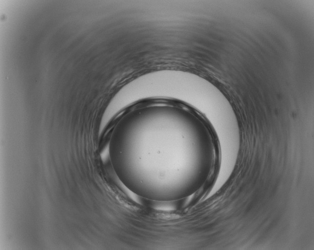 X0000067360287200604071423
