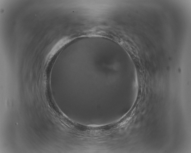 X0000067360295200604071422