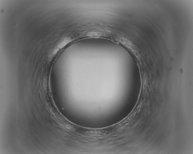 X0000067360297200604071422