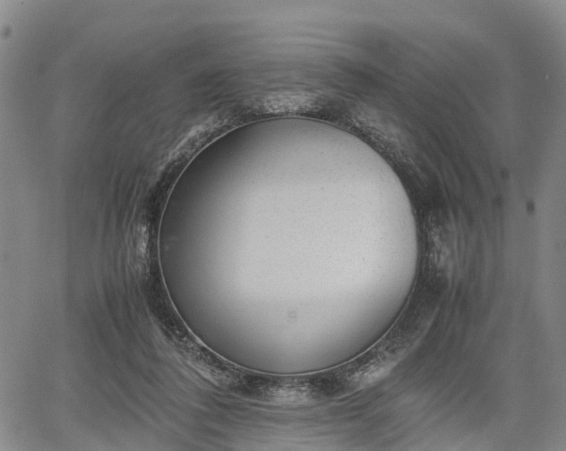 X0000067360308200604071422