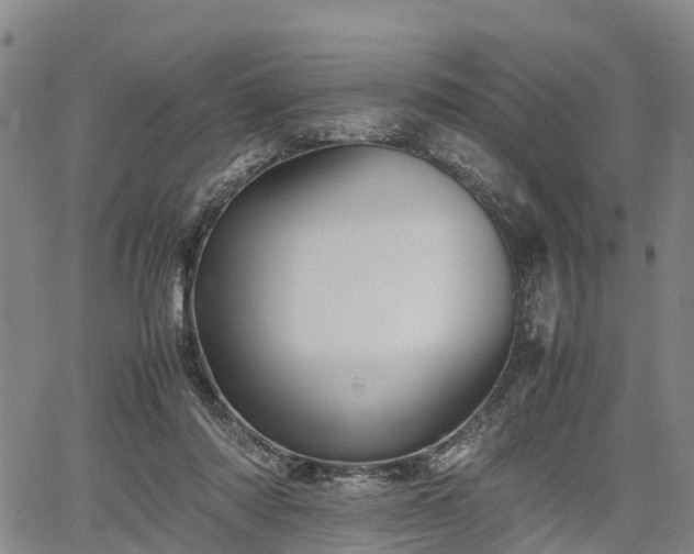 X0000067360310200604071422