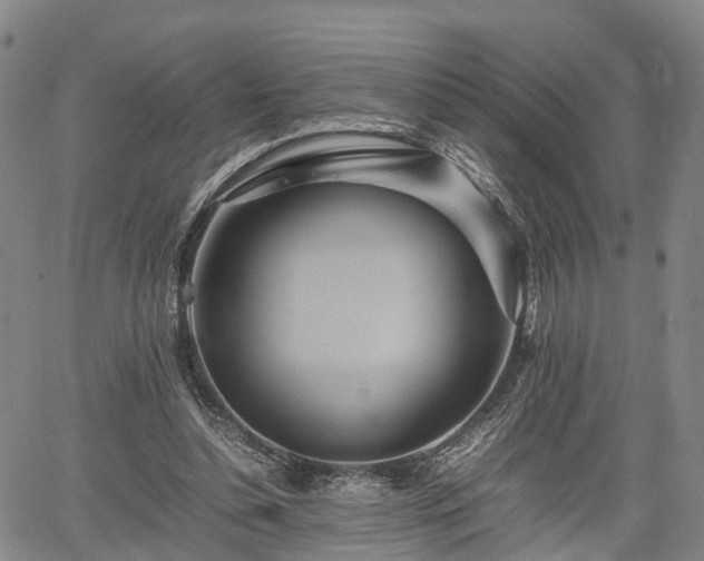 X0000067360348200604071421
