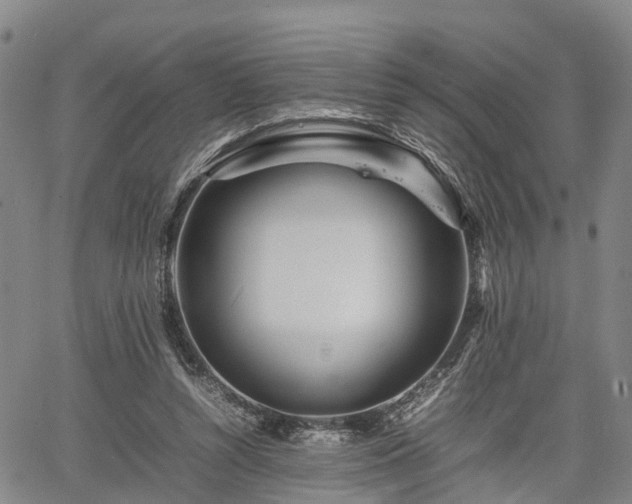 X0000067360352200604071421