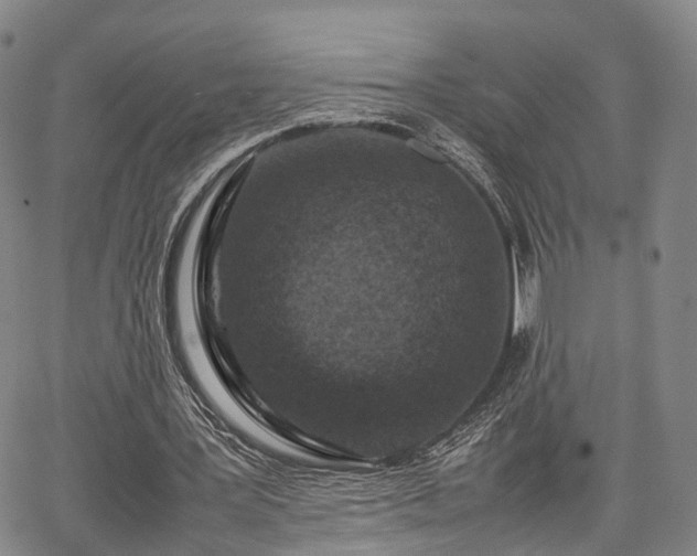 X0000067360387200604071421