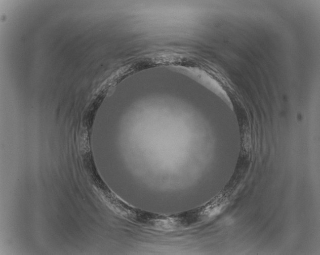X0000067360411200604071421