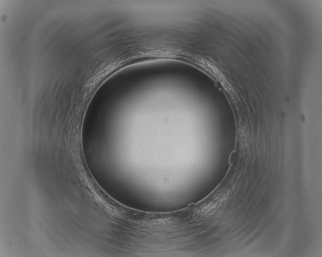 X0000067360433200604071419