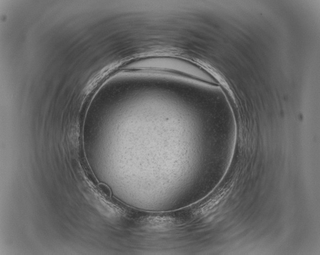 X0000067360437200604071420