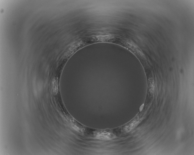 X0000067360471200604071420