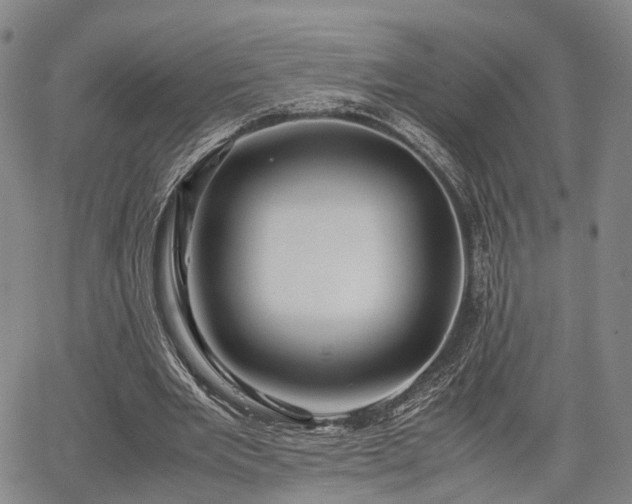 X0000067360485200604071419