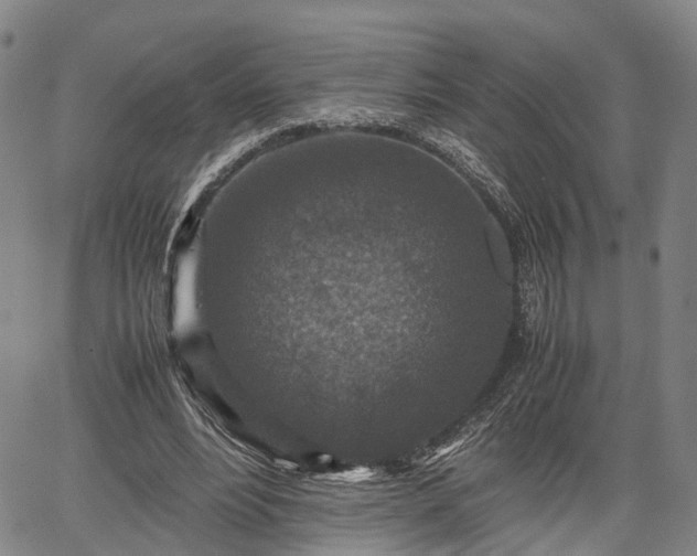 X0000067360488200604071419