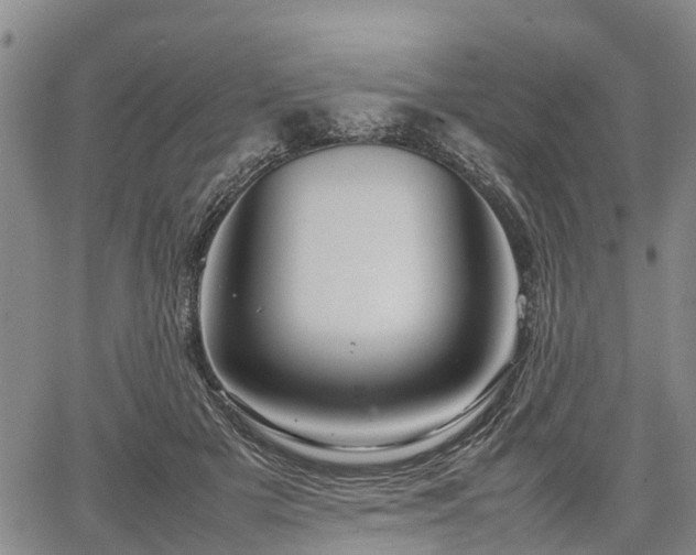 X0000067360505200604071419