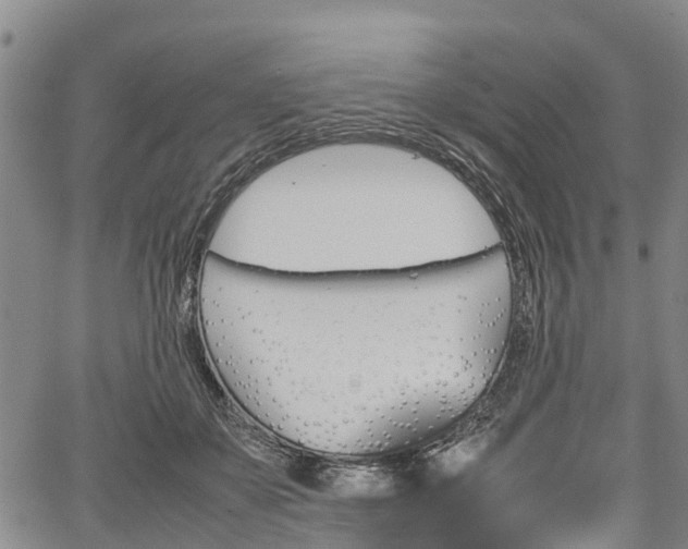 X0000067360507200604071419