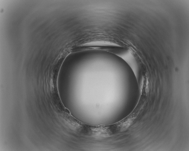 X0000067360516200604071419