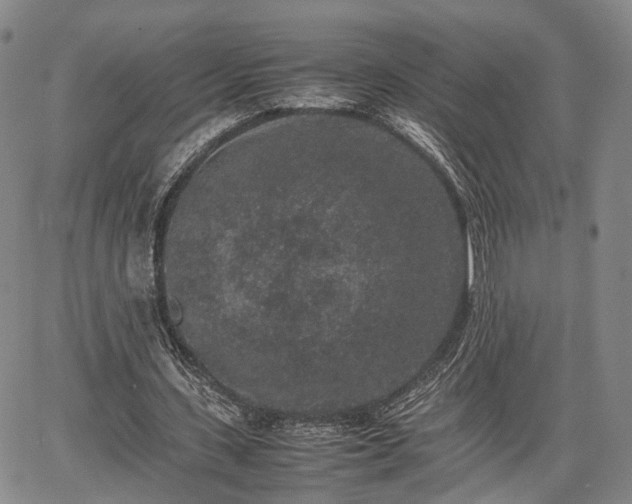 X0000067360531200604071418