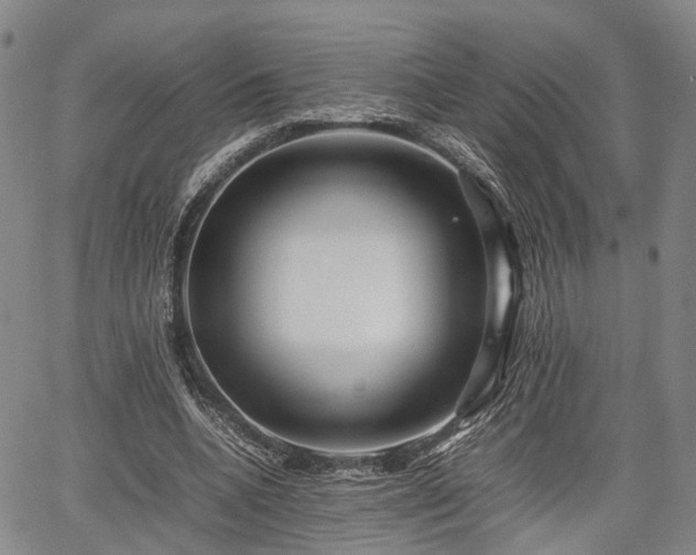 X0000067360536200604071418