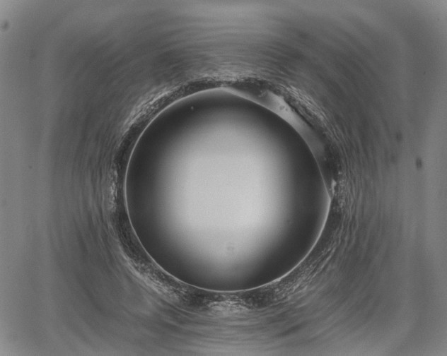 X0000067360544200604071418